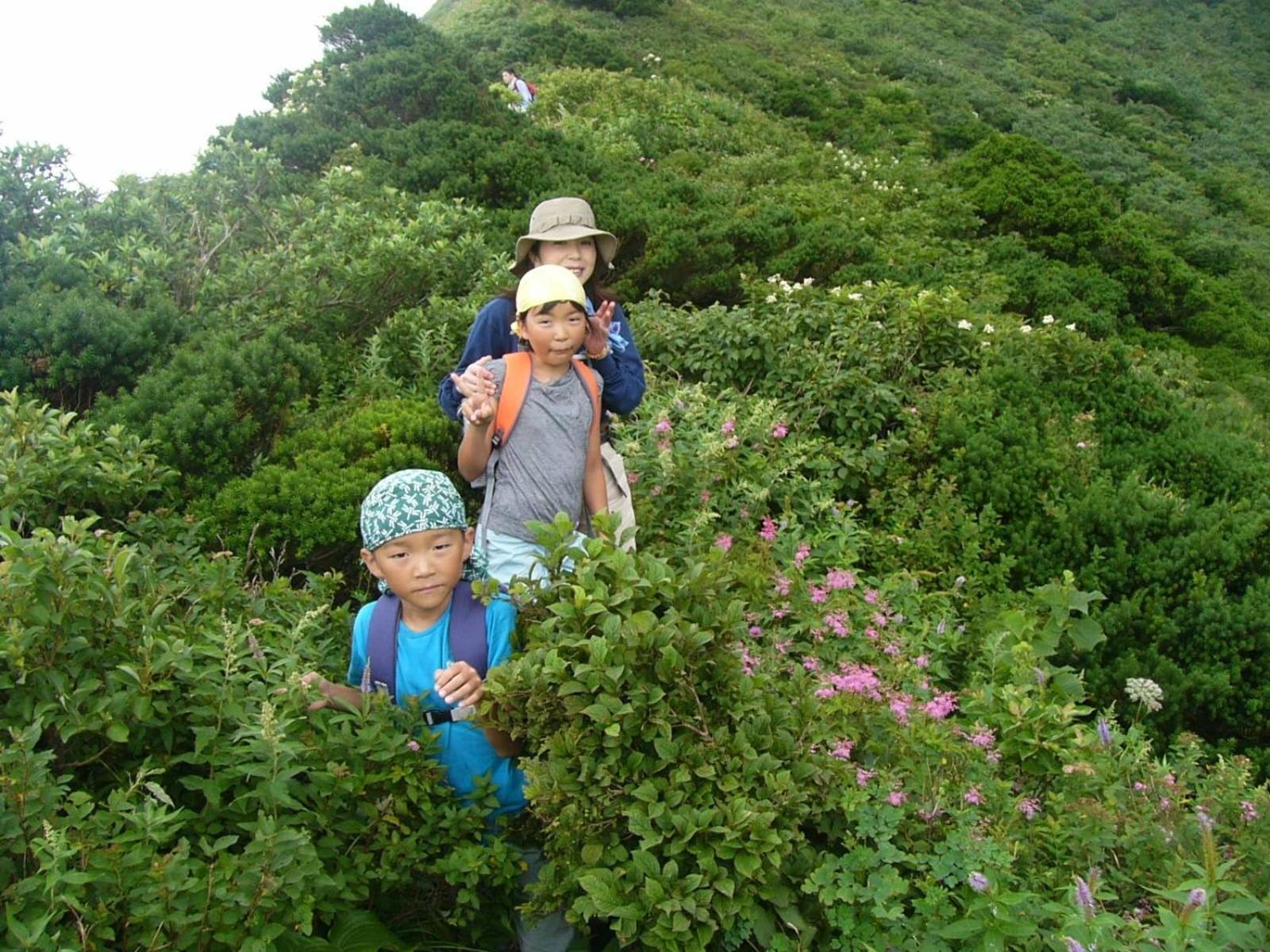 Shukubo Kansho-In Temple Sanrakuso Daisen  Esterno foto