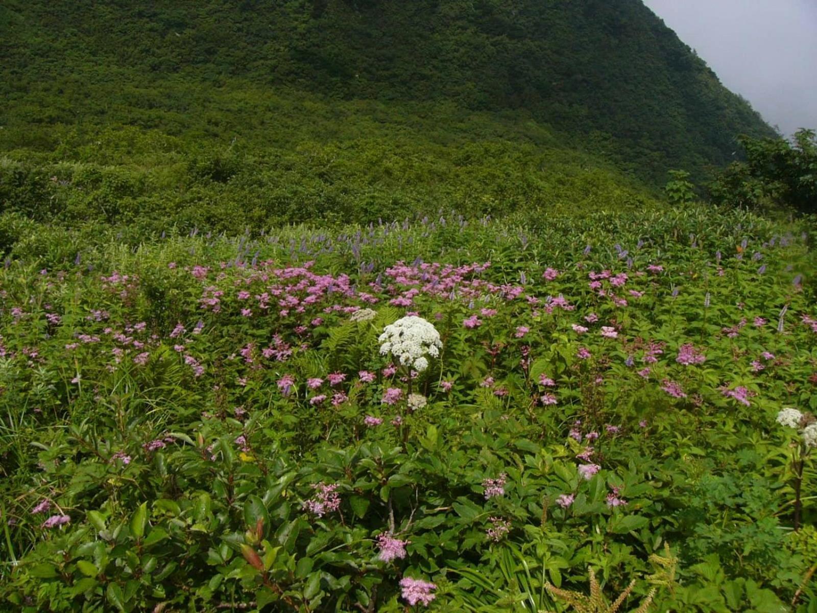 Shukubo Kansho-In Temple Sanrakuso Daisen  Esterno foto
